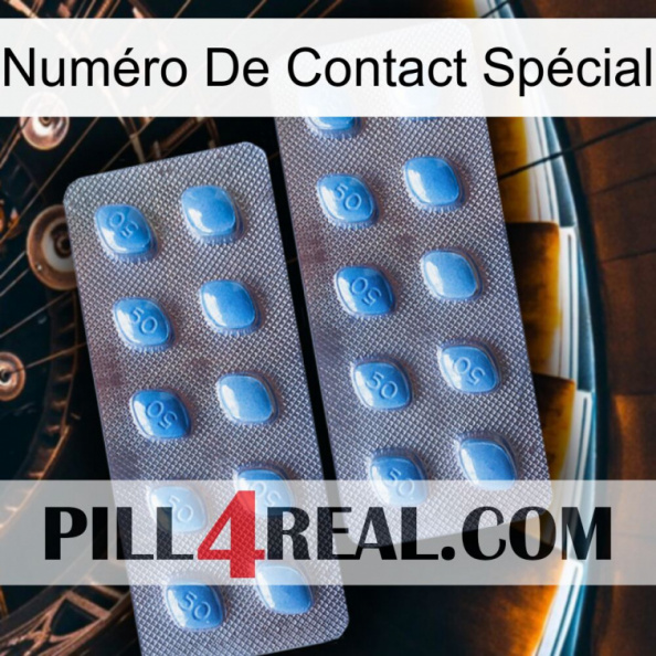 Numéro De Contact Spécial viagra4.jpg